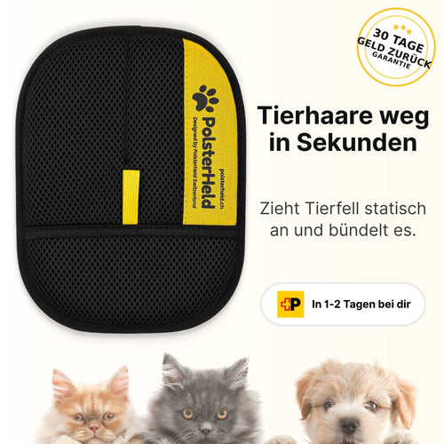 PolsterHeld™